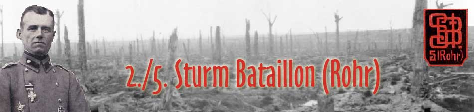 Banner for 5. Sturm-Bataillon "Rohr" website